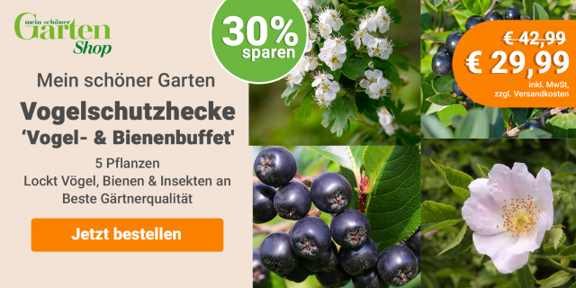 Deal: Vogelschutzhecke ‘Vogel- und Bienenbuffet'