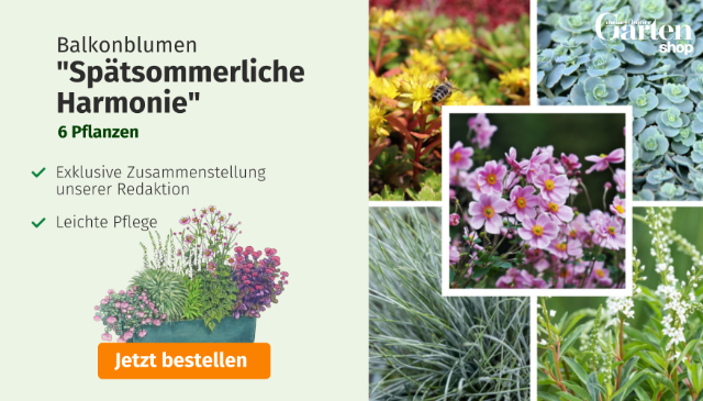 Mein schöner-Garten-Shop Angebot