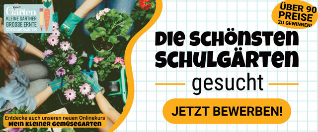 Die schönsten Schulgärten gesucht