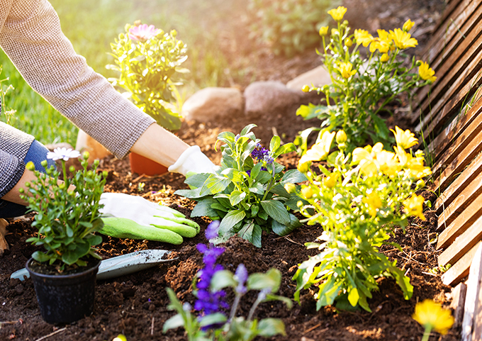 Bald ist es wieder soweit: Die neue Gartensaison steht vor der Tür!