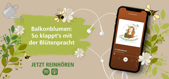 Podcast Balkonblumen Mein schöner Garten