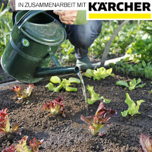 5 Tipps für die Bewässerung im Gemüsegarten