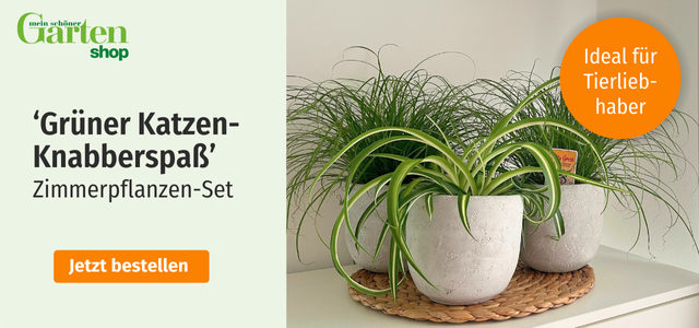 Mein schöner Garten-Shop Aktion