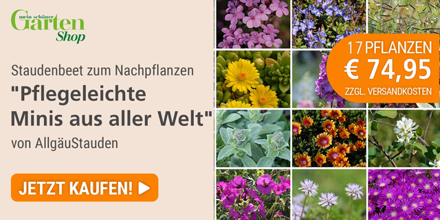 Shop-Angebote Mein schöner Garten