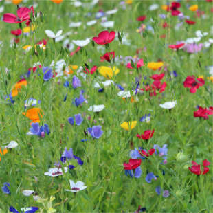 Naturschutz im April