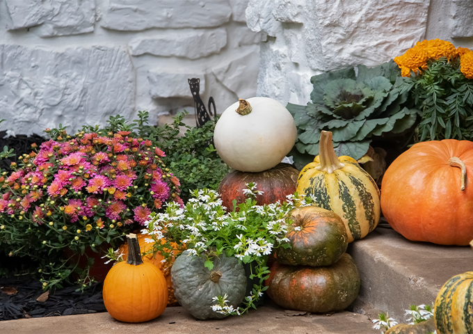 mein schöner Garten Shop