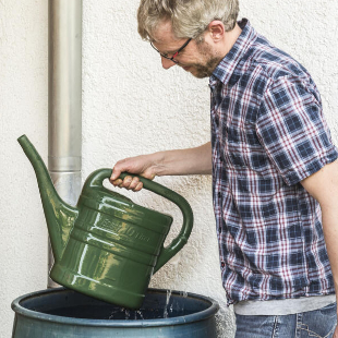 So leicht lässt sich Wasser im Garten sparen