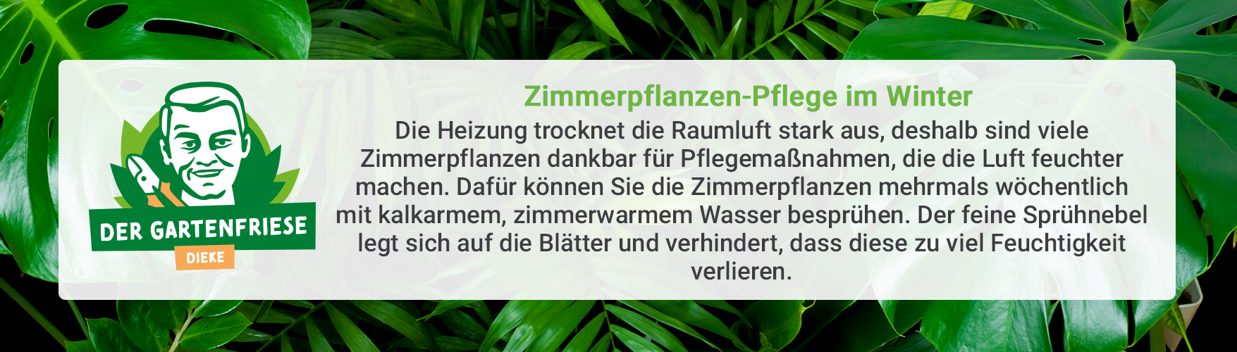 Pflanzen-Tipp