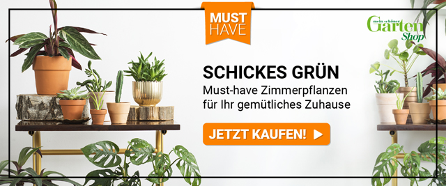 Angebote aus dem Mein schöner Garten-Shop