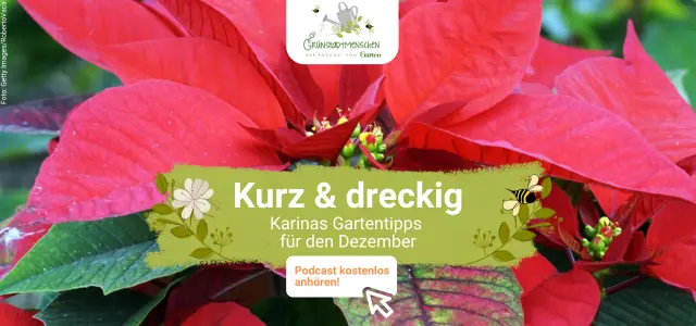 Podcast Grünstadtmenschen 