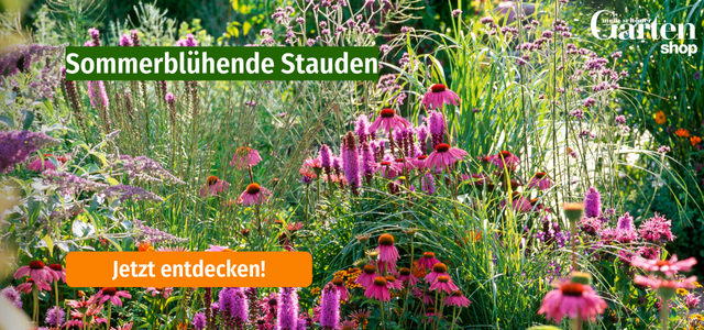 Mein schöner Garten-Shop Angebote