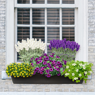 Sommerbalkon bunte Bienenfreunde