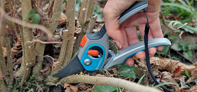 Die 3 wichtigsten Gartenarbeiten im Januar