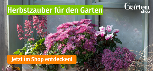 Mein schöner Garten-Shop Aktion