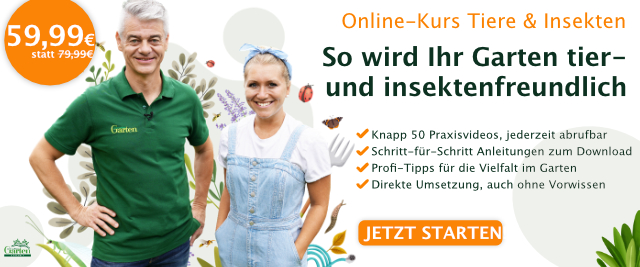 Online-Kurs Tier- und Insektenfreundlicher Garten