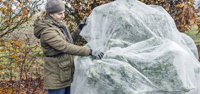 Die 3 wichtigsten Gartenarbeiten im Dezember