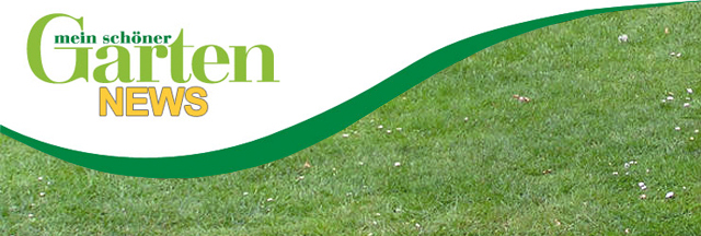 Gartentipps von Mein schöner Garten