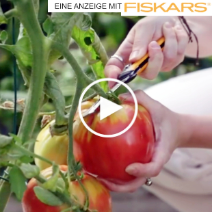 Selbstversorgung - Tomaten ernten und einkochen