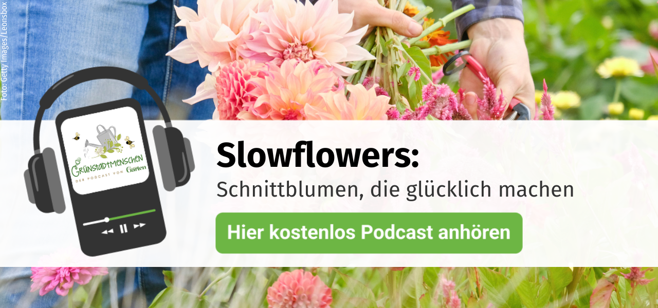 Podcast Grünstadtmenschen