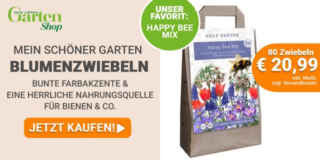 Ihren Weihnachtsbaum einfach online bestellen. Ab 29,99 €!