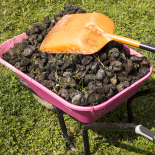 Pferdemist als Dünger für den Garten 
