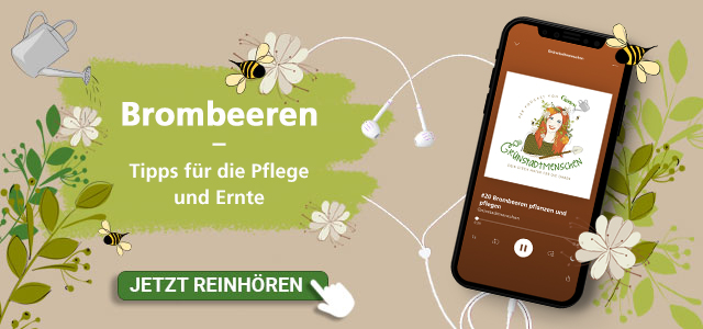 Podcast Brombeeren