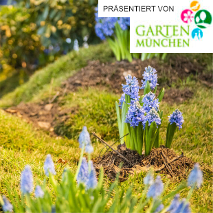 Garten München 2023