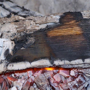 Holzasche: Ein Gartendünger mit Risiken