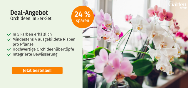 Angebot Mein schöner Garten-Shop