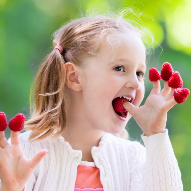 Himbeeren pflegen