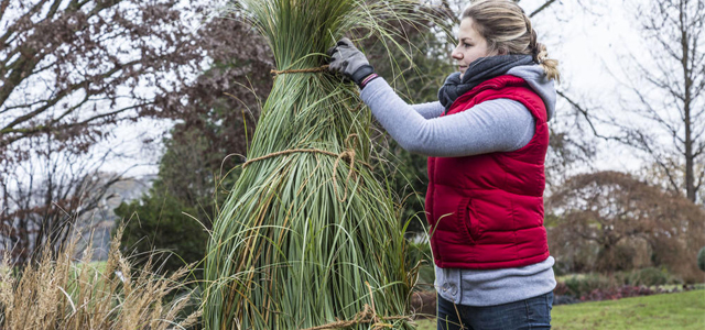 Die 3 wichtigsten Gartenarbeiten im Dezember