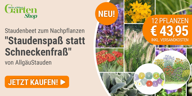 Angebote aus dem Mein schöner Garten-Shop