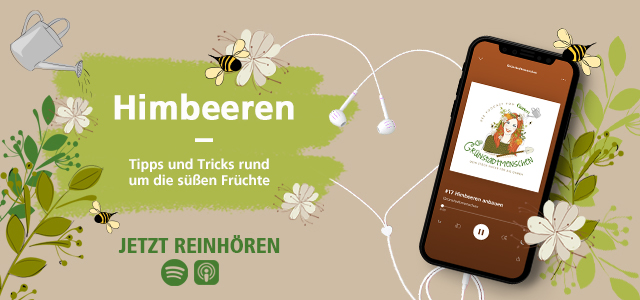 Podcast-Folge Himbeeren