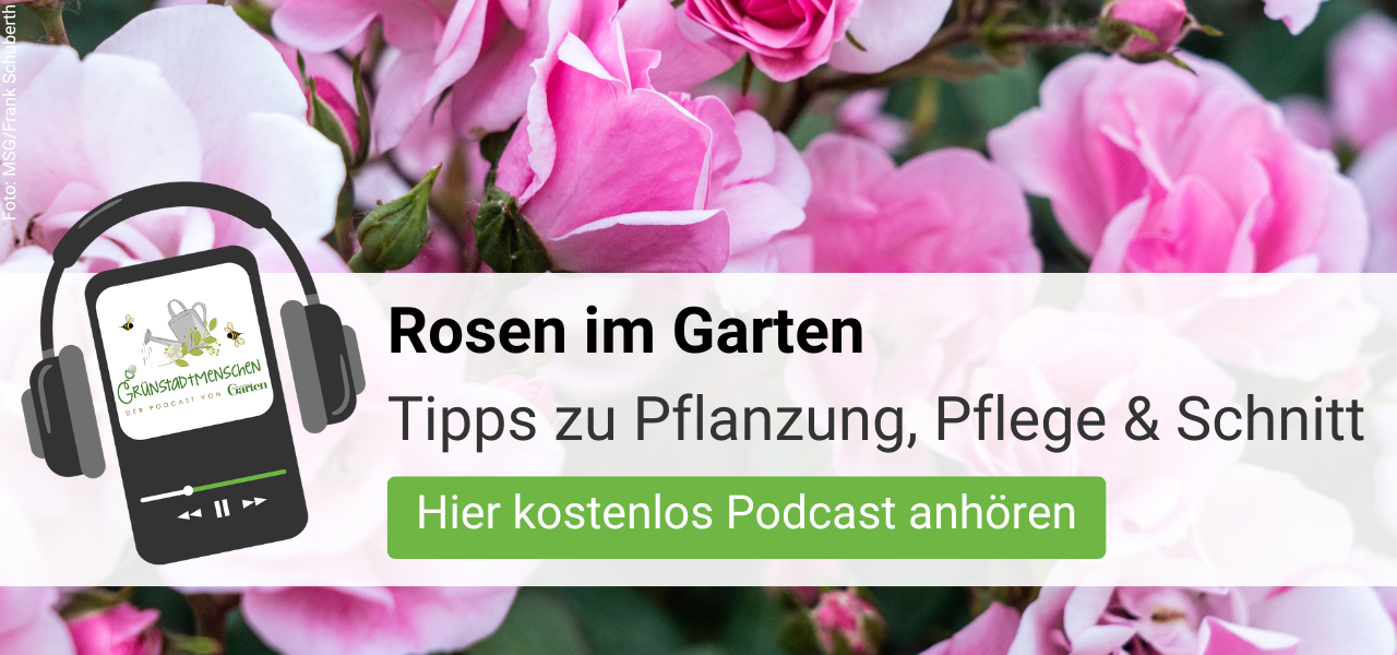 Podcast Grünstadtmenschen