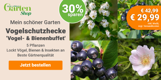 Angebote Mein schöner Garten-Shop