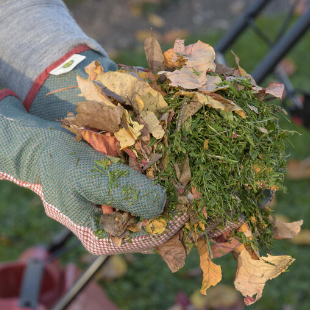 So verwenden Sie Herbstlaub sinnvoll im Garten