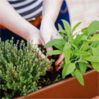 Gartentipps für Terrasse und Balkon im April