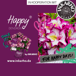 HAPPYdendron® FOR HAPPY DAYS!