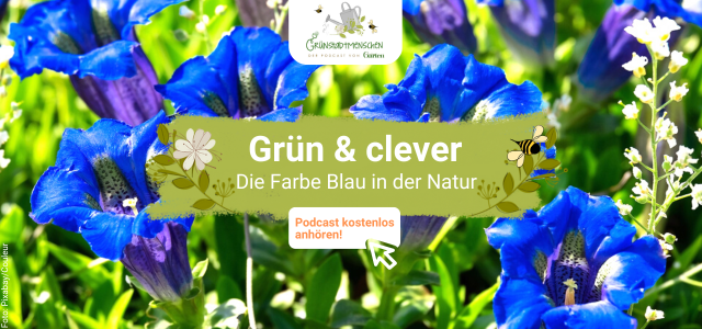 Podcast Grünstadtmenschen Grün & Clever