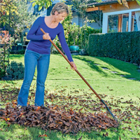 Die besten Gartentipps für den Ziergarten