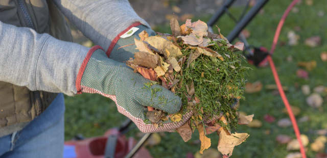 So verwenden Sie Herbstlaub sinnvoll im Garten 