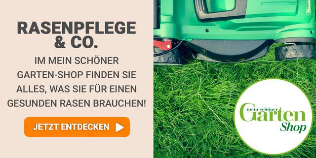 Angebote Mein schöner Garten-Shop