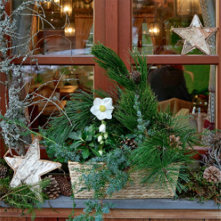 Adventsdeko: Die schönsten Ideen 