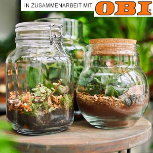 Flaschengarten anlegen: Kleines Ökosystem im Glas