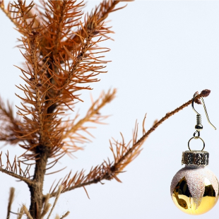 Weihnachtsbaum frisch halten: 5 Profi-Tipps 
