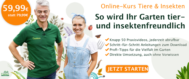 Online-Kurs Tier- und insektenfreundlicher Garten