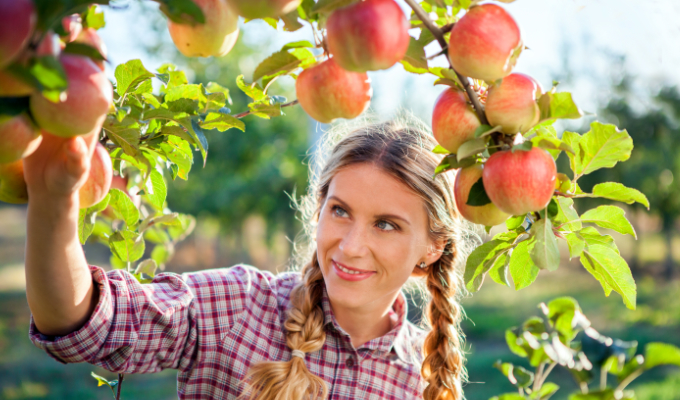 Die 3 wichtigsten Gartenarbeiten im Spätsommer