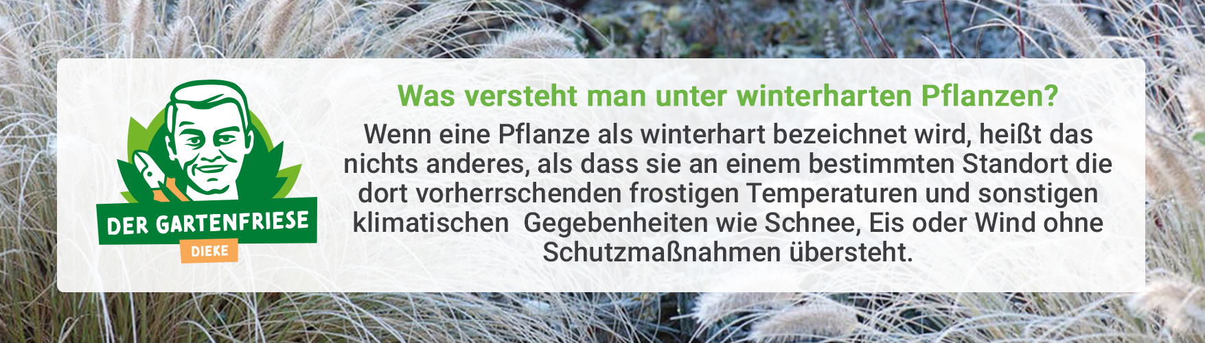 Pflanzen-Tipp