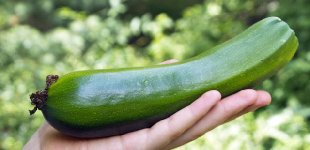 Die 3 größten Fehler beim Zucchini-Anbau