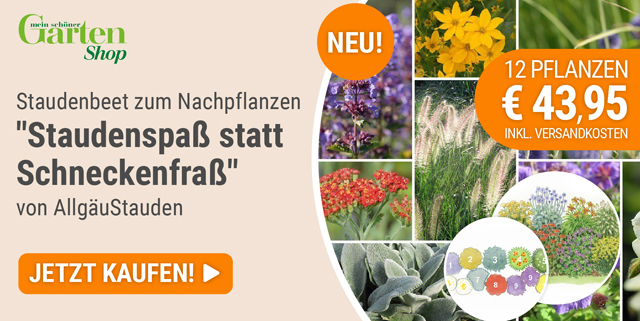 Angebote aus dem Mein schöner Garten-Shop